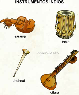 Instrumentos indios (Diccionario visual)